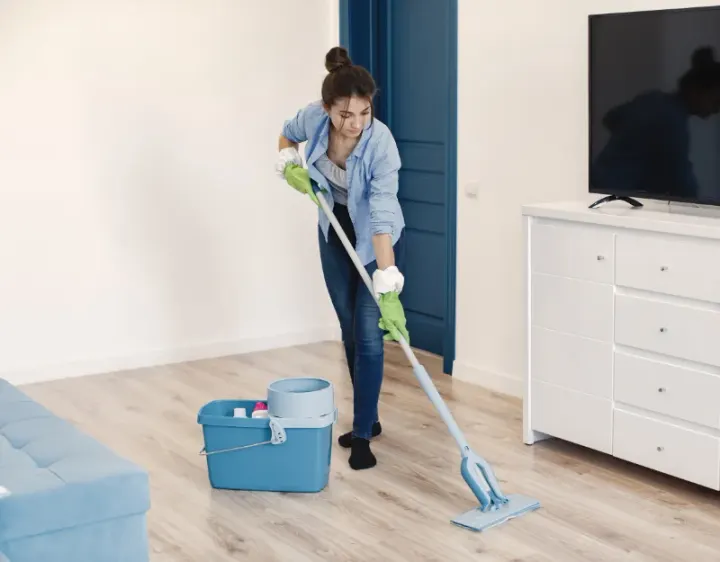 Femme de ménage Joncherey